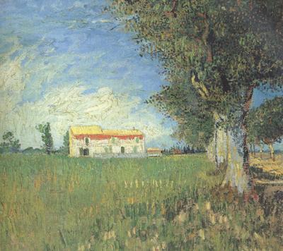 Vincent Van Gogh Farmhous in a Wheat Field (nn04) oil painting picture
